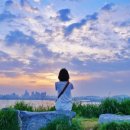 배곧생명공원 이미지