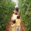 소촌어린이집 이미지