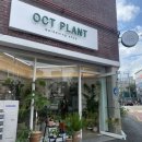 악토플랜트