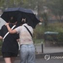 소나기 이미지