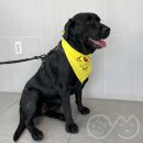 로이병원 이미지