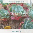 이천시민다육 이미지
