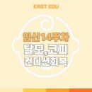 [지표] 임신 14주차의 모든 것 (머리카락, 탈모, 쥐젖, 코피, 컨디션 회복, 운동, 식단)
