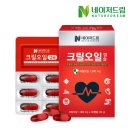 드림오일