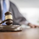 The Man's Dog 이미지