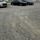 황제 시래기 명태조림(인삼로75) 이미지