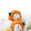 지우산업 이미지