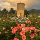 추풍령급수탑공원 화장실 | 충북 영동 가볼만한곳 추풍령역 급수탑공원 가을 장미꽃 명소