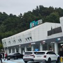 인현중앙길 | 김밥 먹으러 김천시까지 가는 사람이 어디있어?여기요.