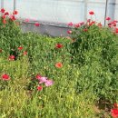 전기차충전소_서부농업기술센터 이미지