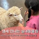 승연전자 | 핫플 냄새 안나는 인천 서창 실내 동물원 아이와 함께 갈만한 곳 : 쥬벅스 특별한 체험 가격 주차 솔직후기
