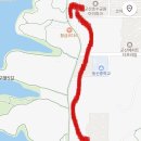 은파호수공원 9-5 | 군산 벚꽃축제 은파호수공원 실시간 개화 상황 후기 전북 벚꽃명소