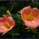 인헌중학교 이미지