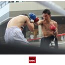 타이틀 복싱 클럽 이미지