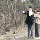 여천초등학교 이미지