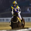 또또코리아 이미지