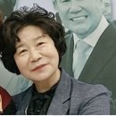 세계로 인셀덤 이미지