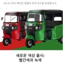 보이다안경 | 🌴90%가 틀리는 여행 영어 보홀 안경원숭이는 See일까, Watch일까?