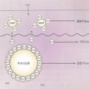 화장품 9 이미지