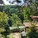 소나무리조트 | 강원도 화천군 화악산소나무리조트, 영업시간, 후기, 가는법