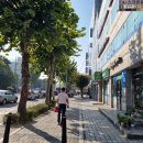 목동서울청내과의원 네이버블로그