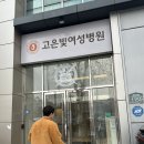 주식회사 강동수면센터 | 강동고은빛 염재호 원장님 제왕절개 후기 1인실 사용