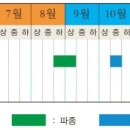 양파의 효능 및 재배방법 이미지