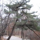 H8002 이미지