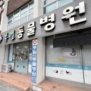 부일동물병원 네이버블로그