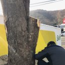 느티나무주유소 이미지