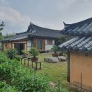 치킨선생 이미지