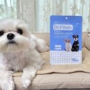 닥터파인드 이미지