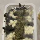 통삼겹&쪽갈비 이미지