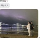 와작와작 이미지