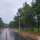 보성 - 장흥 - 20250602 이미지