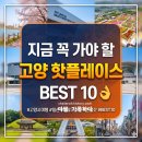 덕양제7주유소 | 고양 가볼만한곳 베스트 10 — 현지인도 줄 서는 핵심 코스
