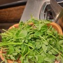 서대구우체국 | 솥뚜껑에 삼겹살을 구워주는 목구멍 대구평리점 방문후기