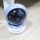 홈CCTV 프리에이티브 펫카메라 사용후기