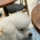 카페베네 포항경주공항점