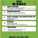 인디고선셋 이미지