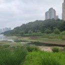 광교7080라이브