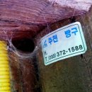 빵구네 Daum카페