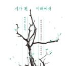 시가로 이미지