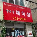 낭자김 이미지
