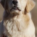 부마클럽 이미지