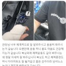 WS복싱클럽(월드컵파크점) 이미지