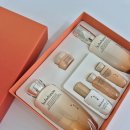 프리메라2 | 김포설화수방판 자음2종세트 프리메라오일투폼 구매후기 아모레방판