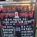 쭈꾸미대통령 티스토리