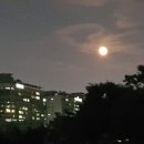 서강행정사 이미지