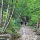 망운산 등산로 이미지